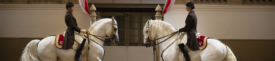 Spanish&#x20;Riding&#x20;School&#x20;Vienna&#x20;&#x00A9;&#x20;&#x28;c&#x29;SRS-Rene&#x20;van&#x20;Bakel