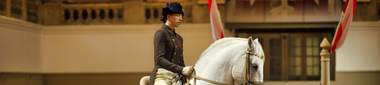 Spectacle&#x20;de&#x20;lipizzans&#x20;&#x00A9;&#x20;&#x28;c&#x29;SRS-Rene&#x20;van&#x20;Bakel