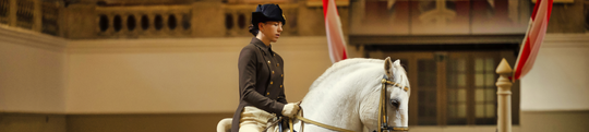 Lipizzaner&#x20;Show&#x20;&#x00A9;&#x20;&#x28;c&#x29;SRS-Rene&#x20;van&#x20;Bakel