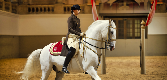 Spectacle&#x20;de&#x20;lipizzans&#x20;&#x00A9;&#x20;&#x28;c&#x29;SRS-Rene&#x20;van&#x20;Bakel